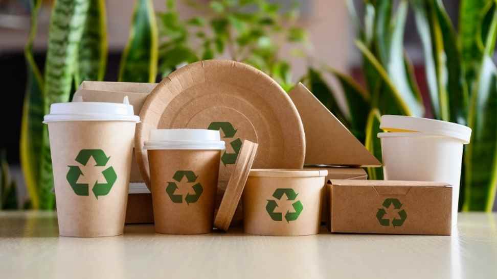 Sustainable Packaging Solutions: Reducing Environmental Impact